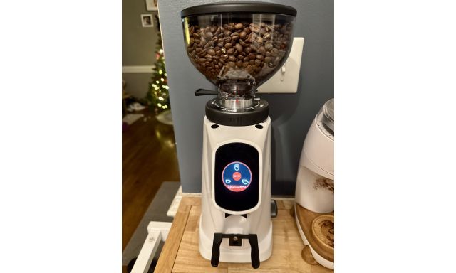 Espresso Grinders Fiorenzato Fiorenzato All Ground Sense 